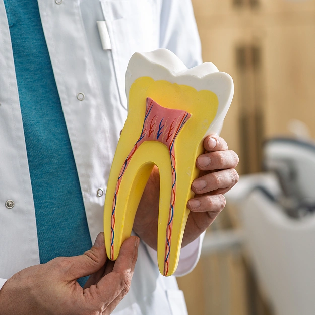 Expert Endodontic Care