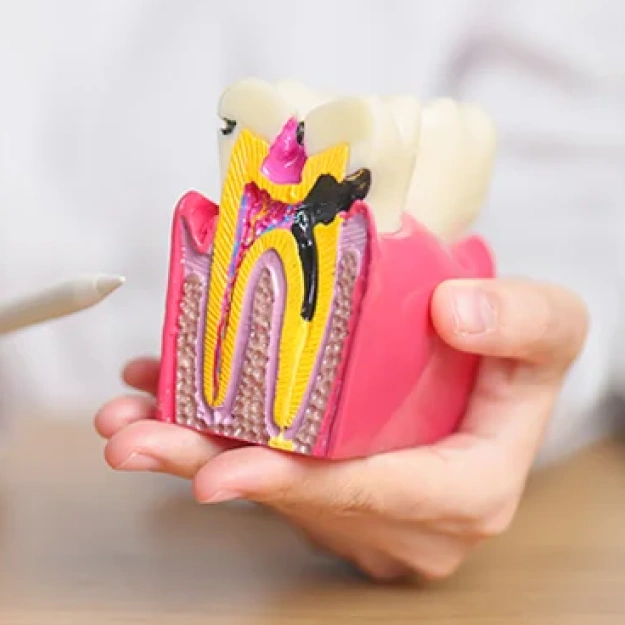 Vital Pulp Therapy for Preserving Natural Teeth